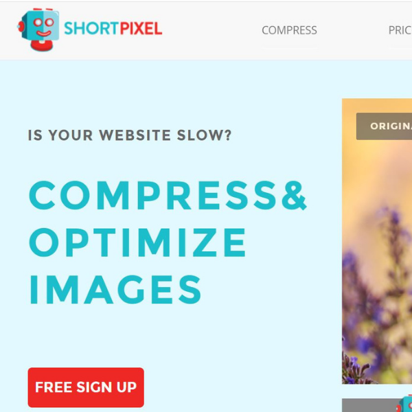 image compression plugin